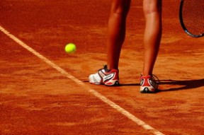 mk体育-世界武术散打大赛中国选手豪取三冠，世界武术散打锦标赛