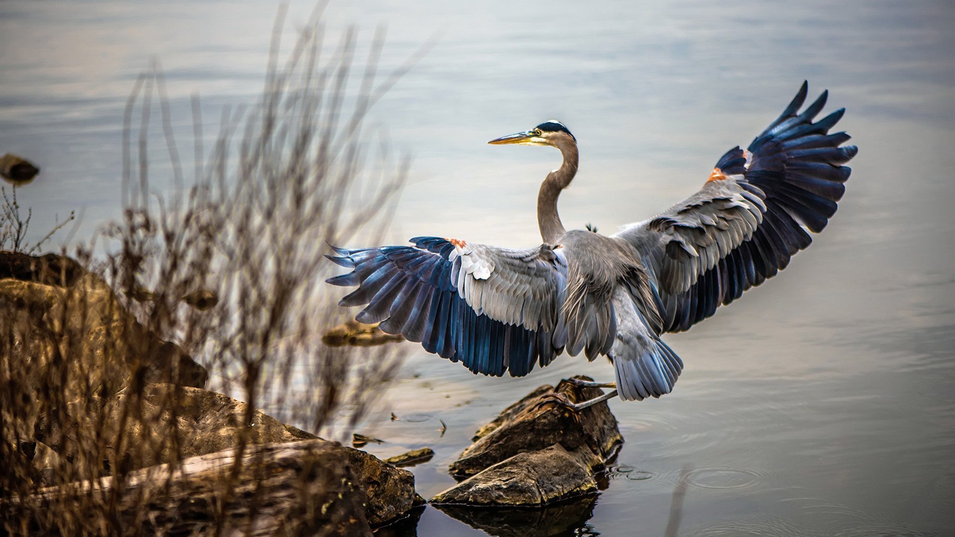 2024年埃及队表现：逐步向国际乒乓强队靠拢，埃及乒乓球厉害吗