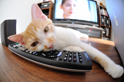 体育新闻中心构建体育内容版权追踪与管理系统，体育新闻杂志