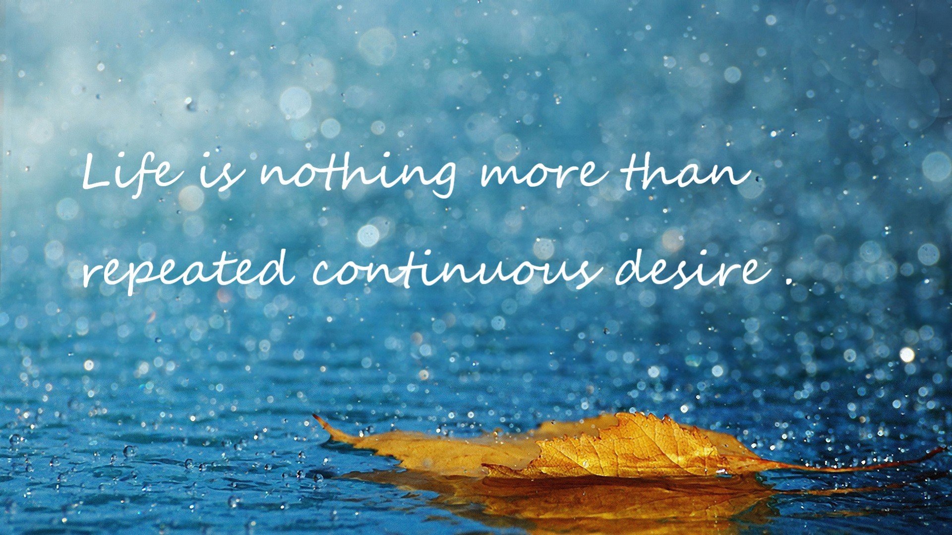 职业联赛标准化管理存在执行难题