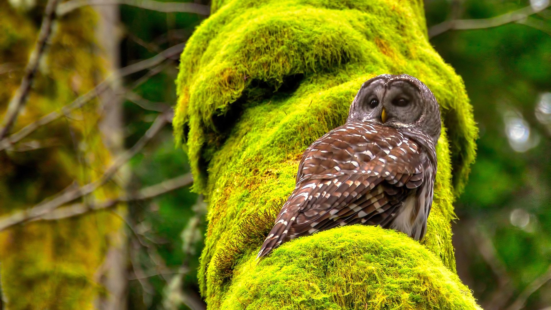 高压防守令对手难以出球,高压防护