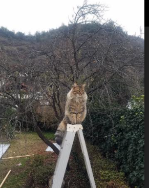 中国足球青少年足球培训课程标准化推进，青少年足球培训计划方案