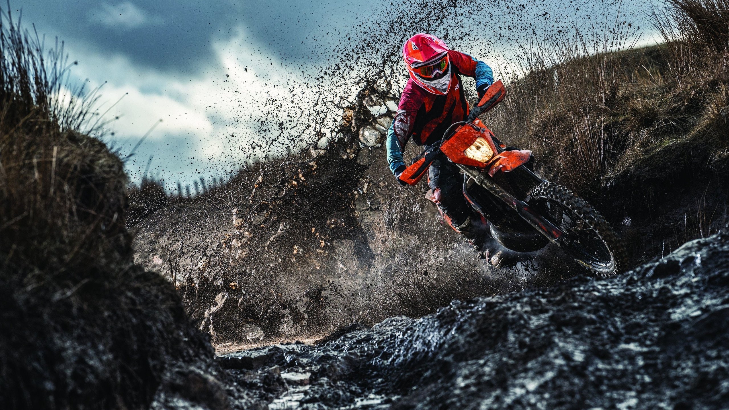 小组赛对阵法国连续胜出,士气回升,法国队小组出线