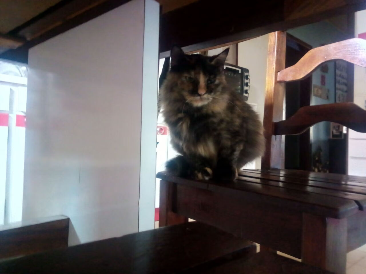 普劳德决赛表现强劲跻身前三，劳德鲁普金球奖