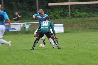 MK手机客户端-天津津门虎残阵抗衡山东泰山，末轮为阻击上海申花留力，天津津门虎最新赛程