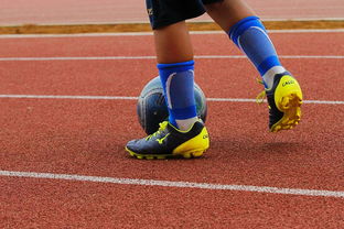 MK体育体验-布莱顿的欧战首秀:德泽尔比的挑战与机遇,德布莱尔门窗有限公司